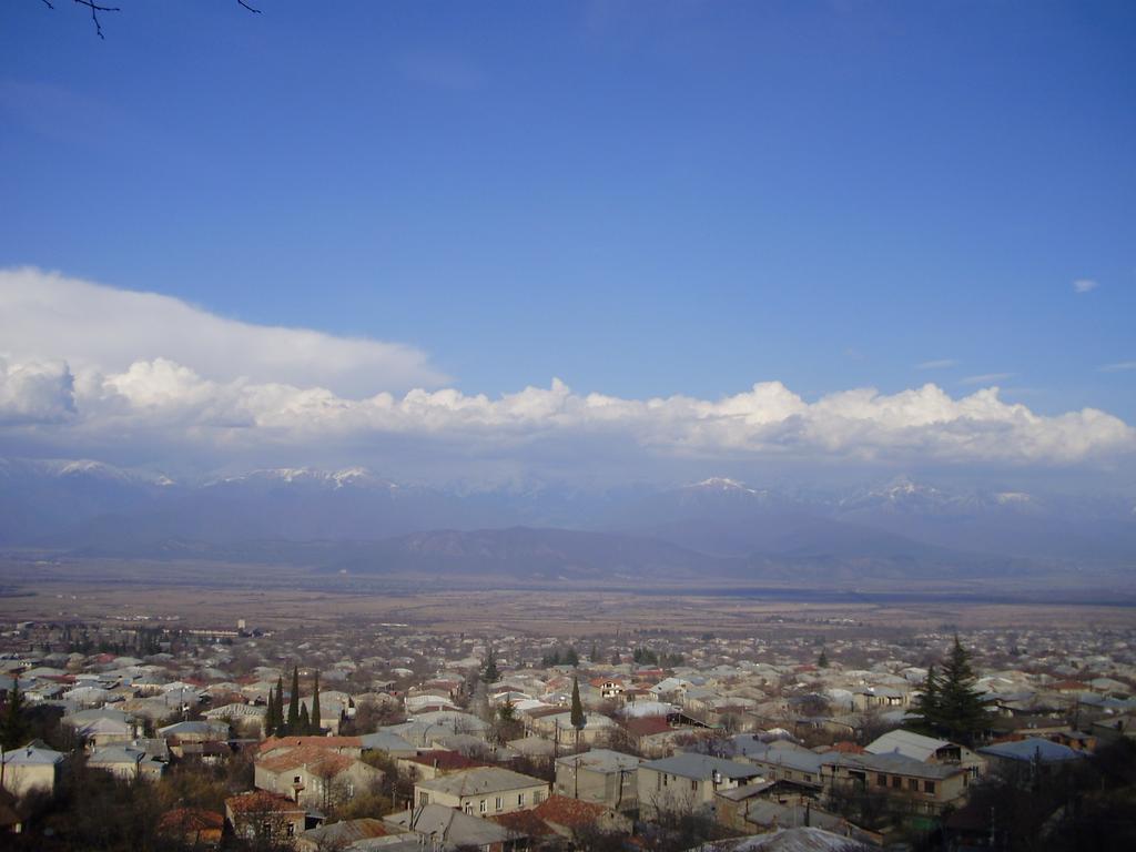 Tlt Guest House Telavi Rum bild